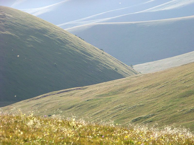 Steppenfuchs Reisen - Naiman nuur