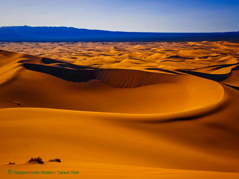 Steppenfuchs Reisen - Abendstiimmung in der Gobi