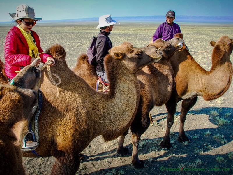 Steppenfuchs Reisen - Unsere Gäste auf dem Kamel in der Gobi