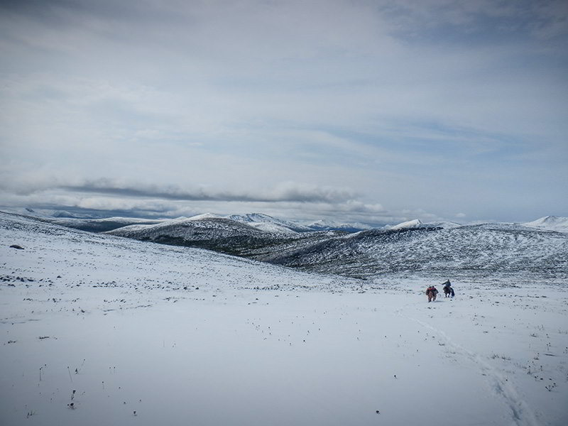 Stetppenfuchs Reisen - Mongolei im Winter