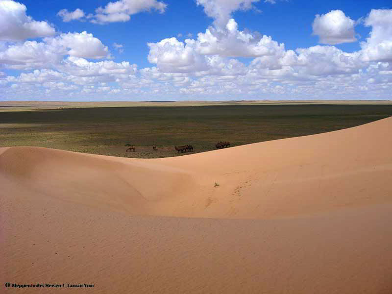 Steppenfuchs Reisen - Khongolrin Else Sandduene