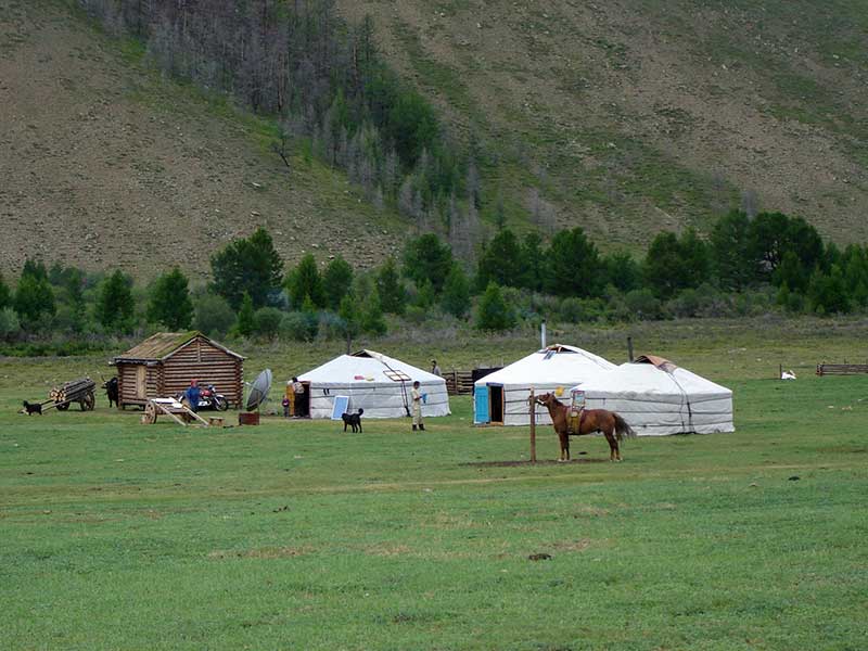 Steppenfuchs Reisen - Nomadencamp