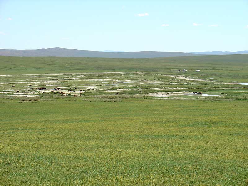 Steppenfuchs Reisen - typische mongolische Steppenlandschaft