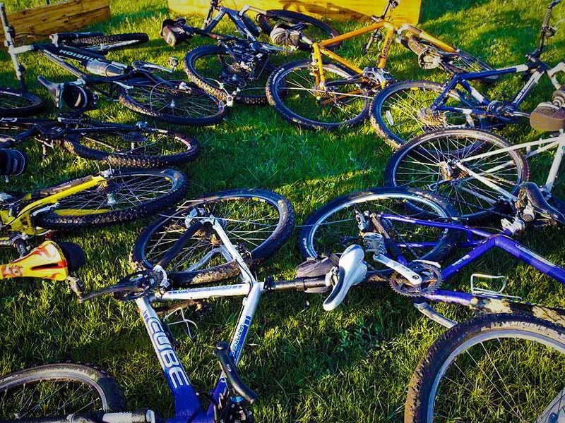 Steppenfuchs Reisen -