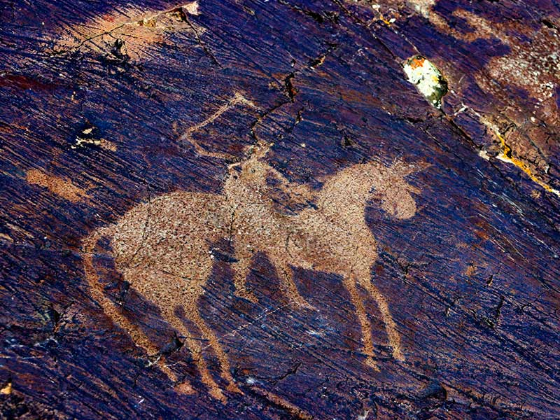 Steppenfuchs Reisen - Felsenzeichnung