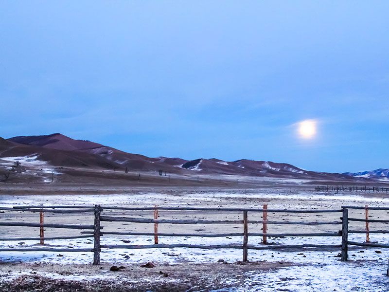 Steppenfuchs Reisen -