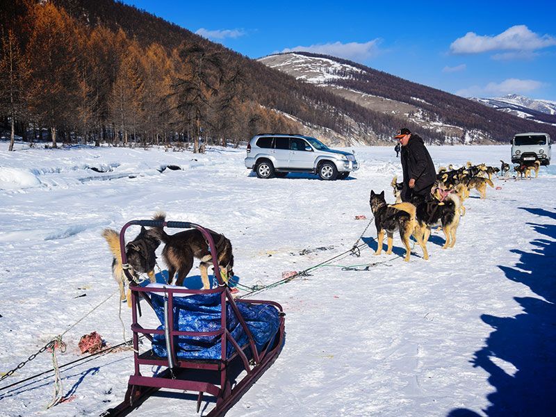 Steppenfuchs Reisen -