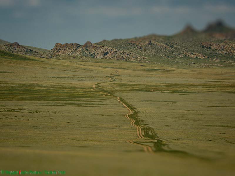 Steppenfuchs Reisen - Piste in der Gobi