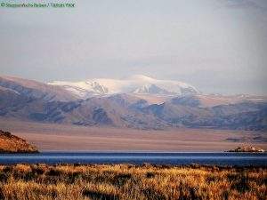Steppenefuchs Reisen - Altai gebirge